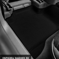 Левый пассажир